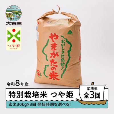 ふるさと納税 大石田町 【先行予約】 【3回定期便】 新米 米 つや姫 30kg 玄米 令和8年産 1月・4月・7月発送
