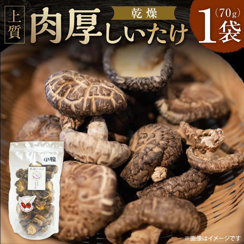 【ふるさと納税】【小粒たっぷり】乾燥しいたけ 合同会社knot 奈良