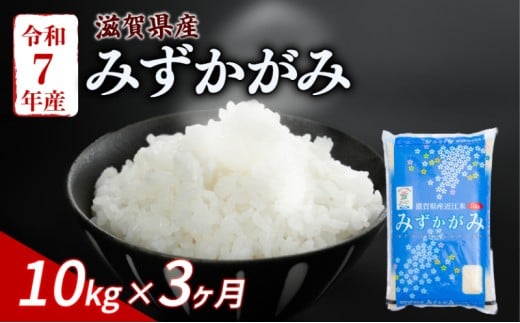みずかがみ 10kg (5kg×2) 3ヶ月定期便 令和7年産 米 こめ ご飯 米 定期便 3回定期便 3か月定期便 3回 3か月 10キロ 令和7年 滋賀 彦根