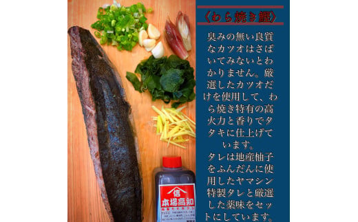 ★数量限定★≪ヤマシン≫ 初鰹のわら焼きタタキ 1節 ※新にんにく1玉付き※ 本場 高知 たたき タタキ かつお 鰹 カツオ タレ付 魚 海鮮 わら焼き 冷蔵 ニンニク にんにく 自慢 人気 送料無料