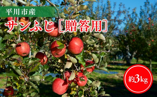 
                  【11月下旬～順次発送】贈答用サンふじ3kg【今井農園】<hi-0064-008>
                