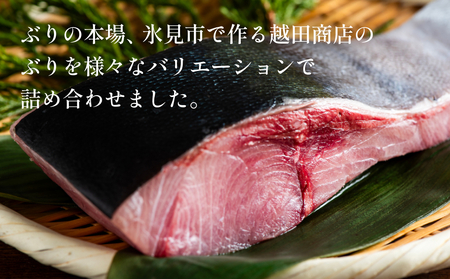 氷見ぶり三昧・極 鰤 ブリ 漬け ジャーキー 富山県 氷見市 