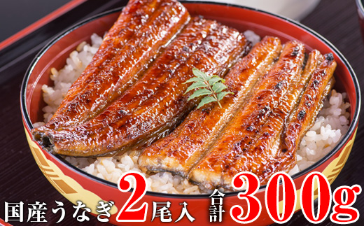 国産うなぎ蒲焼き大サイズ2本セット
