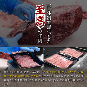 鹿児島県産 黒毛和牛 (4～5等級)ヒレ ステーキ 2種盛り(合計480g・240g×2パック) 牛肉 赤身 国産【カミチク】A231-v01