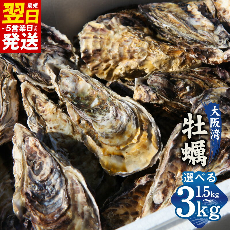 【ふるさと納税】大阪湾牡蠣 1.5kg / 3kg 牡蠣 殻付き牡蠣 殻付き 加熱用 急速冷凍 鮮度抜群 身づまりが良い 蒸し牡蠣 カキフライ お取り寄せグルメ プリプリ ジューシー 食品 魚介類 海鮮 冷凍 最短 翌日発送 5営業日 大阪府 泉佐野市 送料無料