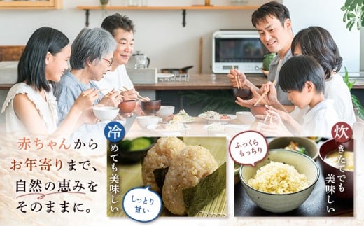 【2025年産】【定期便：3回】北海道産 特別栽培米 ゆめぴりか 玄米 5kg（無化学肥料、除草剤一回だけで栽培した体に優しいお