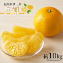 【ふるさと納税】 紀州和歌山産 八朔（はっさく） 約10kg ※2025年2月初旬～下旬頃に順次発送 ※日付指定不可 八朔 はっさく 柑橘 果物 くだもの フルーツ