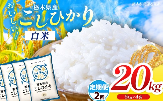 【ふるさと納税】新米 米 定期便 選べる 訳あり 令和8年度産 先行予約 食べ比べ 内容量 20kg 栃木県産 コシヒカリ | 栃木県共通返礼品 お米 精米 白米 玄米 大粒 小粒 無洗米ご飯 飯 こめ コメ 那珂川町 送料無料