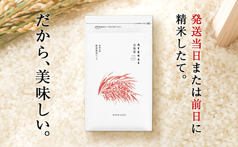 【定期便6回・下旬発送】令和8年度産 北海道産ななつぼし 10kg（鮮度保持パック2.5kg×4袋）