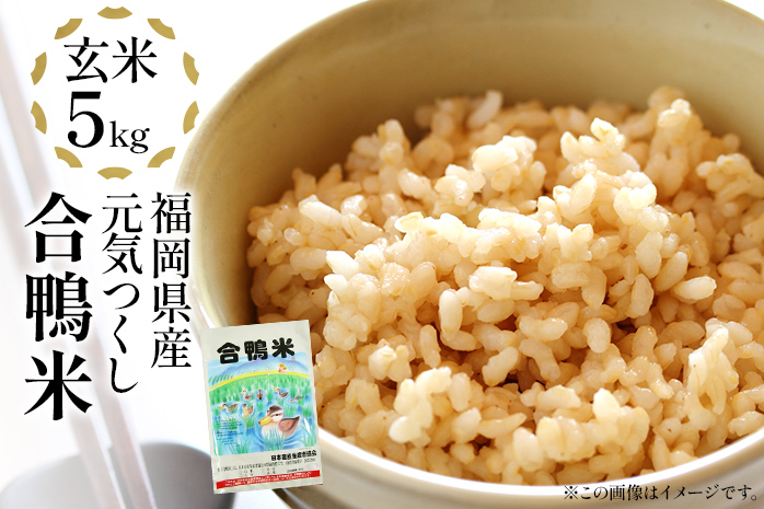 令和7年産 新米予約 合鴨米「元気つくし」（玄米・5kg） ※2025年10月より順次出荷予定　BI09