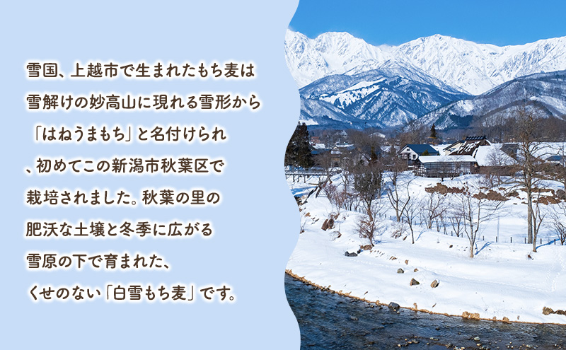 秋葉の里　白雪もち麦 雑穀 お米 食物繊維 カルシウム 鉄分