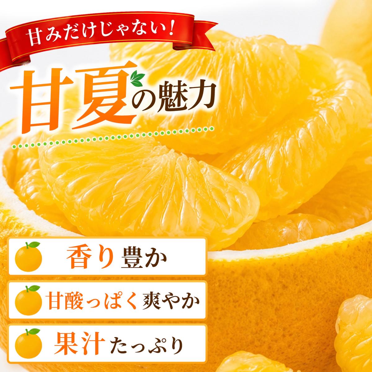 【2027年4月中旬より発送開始】甘夏 5kg【みかん 柑橘 フルーツ デザート】(H116143)
