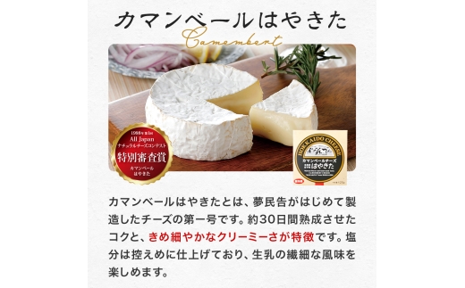 高評価! ナチュラルチーズコンテスト受賞! 夢民舎ブランド はやきたチーズ色々詰合せセット_ カマンベールチーズ クリームチーズ モッツァレラチーズ カチョカバロ さけるチーズ 人気 北海道 おつまみ