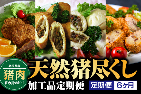 【定期便6回】天然猪尽くし加工品定期便 猪 猪肉 お肉 肉 国産 猪肉加工品 加工品 お惣菜 定期便 6回 EK-7