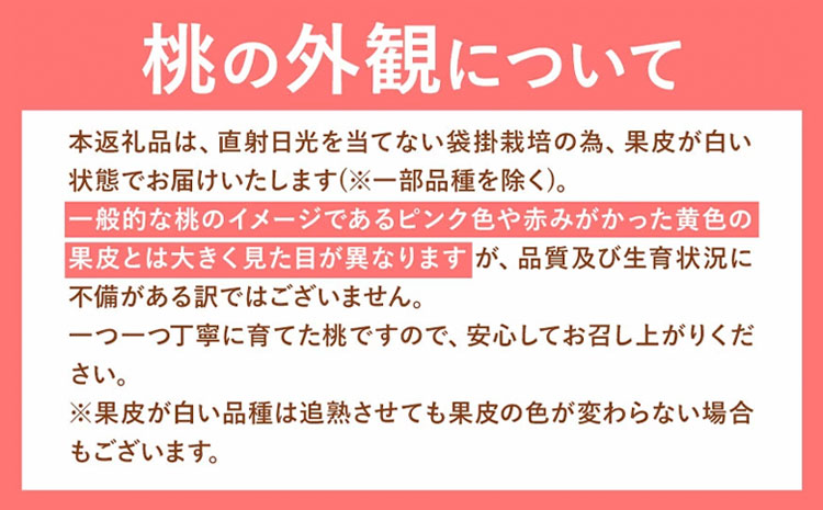 【令和7年度受付分 先行予約】岡山の桃 もも 1.3kg 4~8玉前後 岡山県産 ご家庭用《2025年6月下旬-9月上旬頃出荷》岡山県 浅口市 厳選出荷 白桃 黄桃 はなよめ 日川白鳳 白鳳 清水白桃 おかやま夢白桃 川中島白桃 白皇 黄金桃 果物 フルーツ---124_c365_6g9j_23_12500_13---