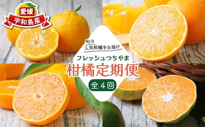 
                  みかん定期便 柑橘定期便 全 4回 家庭用 極早生みかん 吉田みかん 愛果28号 ポンカン ダイヤオレンジ 黄金柑 矢野青果 先行予約 温州みかん 温州 果物 くだもの フルーツ 柑橘 みかん mikan プレゼント ギフト 産地直送 数量限定 国産 愛媛 宇和島 B048-096019～021
                