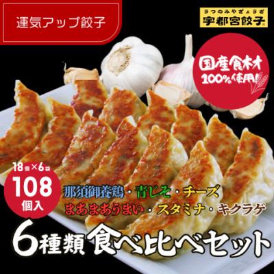 ふるさと納税 宇都宮市 宇都宮餃子 運気アップ餃子　6種類食べ比べ(合計108個)　保存料不使用