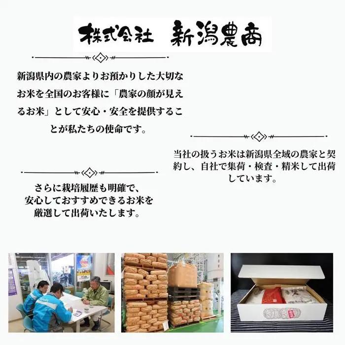 五ッ星マイスター厳選 　佐渡産こしひかり 5kg×2
