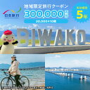 【ふるさと納税】地域限定 旅行 クーポン チケット 300,000円分 1泊以上 宿泊 連泊 旅館 ホテル 交通費 観光 体験 国内 旅行代金 旅行予約 精算 有効期間 5年間 郵送簡易書留 日本旅行 契約施設 滋賀県 守山市 送料無料