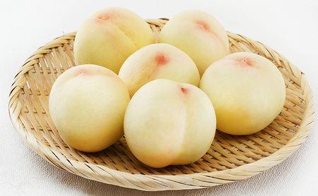 桃 2026年 先行予約 清水 白桃 6玉 （1玉300g以上）化粧箱入り もも モモ 岡山県産 国産 フルーツ 果物 ギフト 最高級 贈答品 贈り物