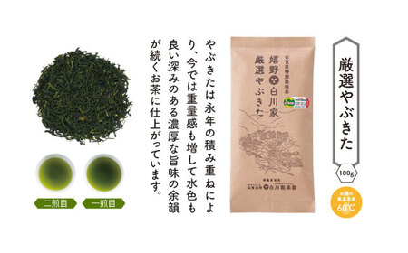 【ギフト箱・のし】白川家三茶葉味くらべセット 計300g / お茶 日本茶 嬉野茶 緑茶 / 佐賀県 / 白川製茶園 [41AIAB010]