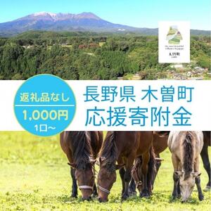 【返礼品なし】長野県木曽町応援寄附金(1,000円)