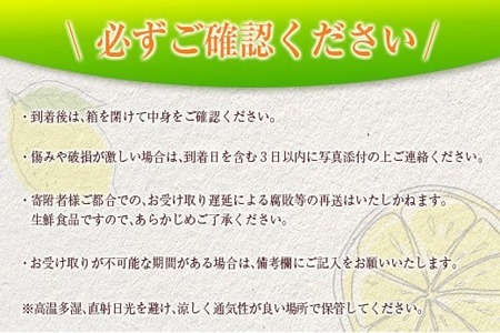 先行予約 希少 グリーンマイヤーレモン 計3kg以上 国産 レモン 果物 くだもの フルーツ 檸檬 柑橘 フレッシュ 期間限定 数量限定 おすすめ ジュース 飲み物 サラダ 調味料 焼肉 バーベキュー