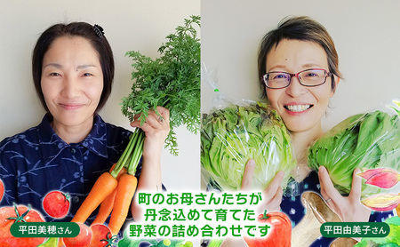 【定期便 年3回】おいしかぁ～便 詰め合わせセット 3ヶ月 お楽しみ ファミリーセット 家族用 野菜 やさい 米 新鮮 新鮮野菜 家庭用 新鮮 福岡県 大刀洗町