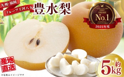 
            産地直送！ 梨(豊水) 約5kg 【2026年8～9月発送】九州・福岡フルーツ王国八女 ＜配送不可：北海道・沖縄・離島＞ なし ナシ 果物 果実 フルーツ 旬な梨 新鮮な梨 甘い梨 ジューシーな梨 みずみずしい梨 国産梨 豊水梨
          