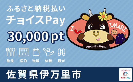 
伊万里市チョイスPay 30,000pt（1pt＝1円）【会員限定のお礼の品】
