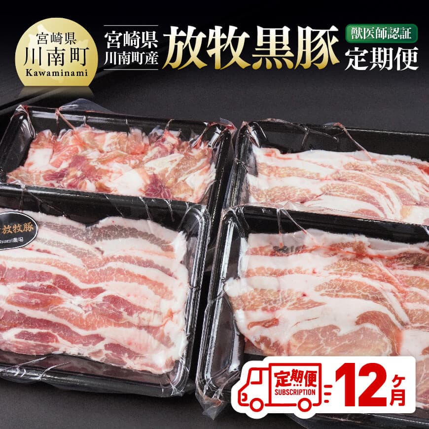 【ふるさと納税】 【12ヶ月定期便】宮崎県川南町産豚肉 放牧黒豚定期便 - 豚 肉 豚肉 黒豚 国産 九州産 宮崎県産 川南町 加工品 セット 送料無料 C08109t12