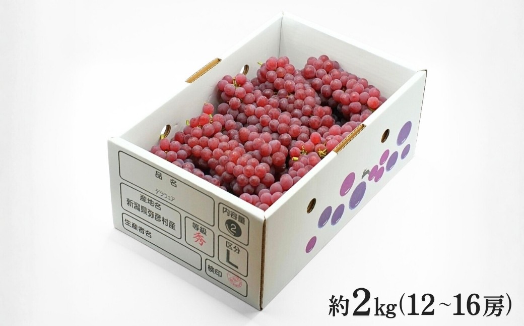 ＜糖度20度以上＞弥彦村産 デラウエア約2kg (12～16房) 種なし(種が少ない)