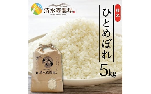 1249R07M01b　遊佐町産ひとめぼれ5kg （令和7年産米）1月中旬