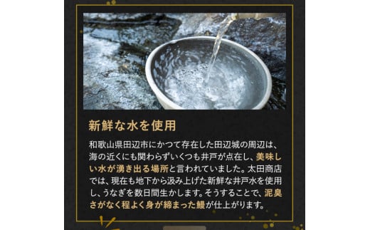 国産うなぎ蒲焼（２本）タレ付き /  和歌山 田辺市 国産 国産うなぎ 国産鰻 うなぎ 鰻 鰻丼 うな丼 土用の丑の日【ots016】