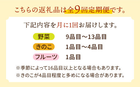 【9回定期便】野菜定期便 吉岡青果[SCZ024]