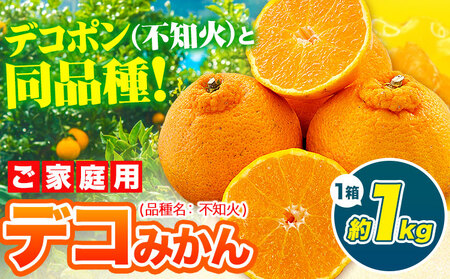 デコポン デコみかん 訳あり 約1kg前後 《2月中旬-4月末頃出荷》｜訳あり訳あり訳あり