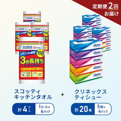 ふるさと納税 岩沼市 【6ヶ月ごと計2回お届け】ティッシュ+キッチンペーパー4P[No.5704-1801]