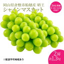 【ふるさと納税】ぶどう 2024年度分 先行予約 【プレミアムシャインマスカット 晴王 2房 合計約1.3kg 定期便 3回 総合計3.9kg】船穂産　赤秀品以上 岡山県産 葡萄 ブドウ ギフト ハレノフルーツ 皮ごと食べる みずみずしい　定期便　お届け：2024年9月1日～2024年11月30日