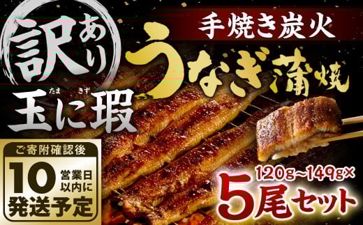 【10営業日発送】【訳あり】玉に瑕 九州産 手焼き炭火うなぎ蒲焼 5尾 （1尾あたり120-149g）うなぎ 蒲焼 冷凍 年内配送