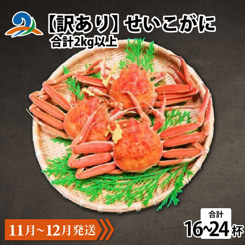 【ふるさと納税】【先行予約】【訳あり】 せいこがに 合計2kg以上（16～24杯）【11月～12月発送】 / セイコガニ せいこ蟹 セコガニ 雌 ずわいがに ズワイ蟹 越前ガニ ボイル 冷蔵 ご自宅用 カニ しゃぶしゃぶ 海鮮 カニすき カニ鍋 カニしゃぶ かに 国産南越前町 送料無料