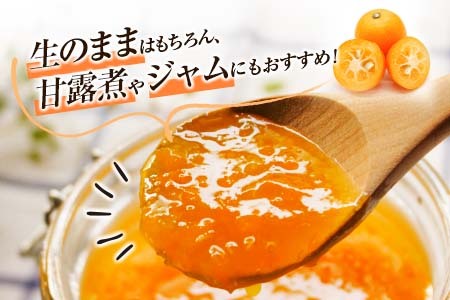 ひなたきんかん 計3kg以上 傷み補償分付き 数量限定 期間限定 フルーツ 果物 柑橘 金柑 みかん 人気 おすすめ おすそ分け お土産 プレゼント お取り寄せ グルメ 国産 食品 デザート スイーツ