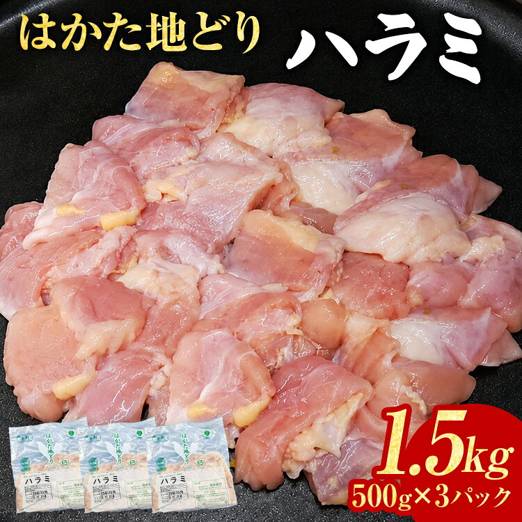 【ふるさと納税】鶏肉 はかた地どり ハラミ 1.5kg 500g×3パック 小分け 福岡県産 地鶏 鶏ハラミ 希少部位 焼肉 冷凍 急速冷凍 凍眠 新鮮 旨み おつまみ 九州産 晩酌 BBQ 肉