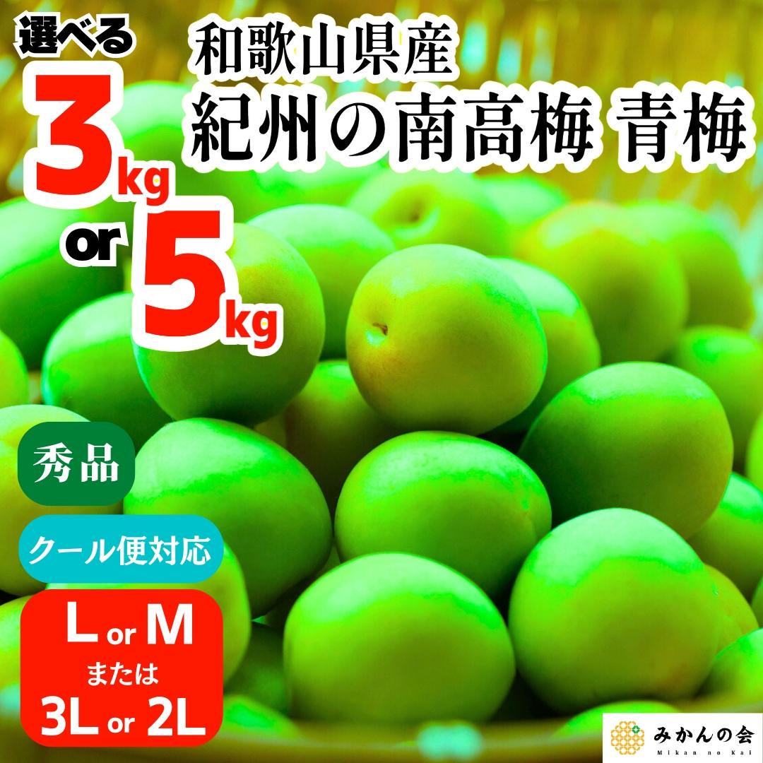 【ふるさと納税】【2025年6月上旬出荷】青梅 南高梅 秀品 和歌山県産 A品 梅酒作り用 梅ジュース作り用 | 梅 うめ 南高梅 完熟 生梅 秀品 和歌山県 梅酒用 梅干用 梅シロップ 梅ジャム 送料無料 お土産 取り寄せ