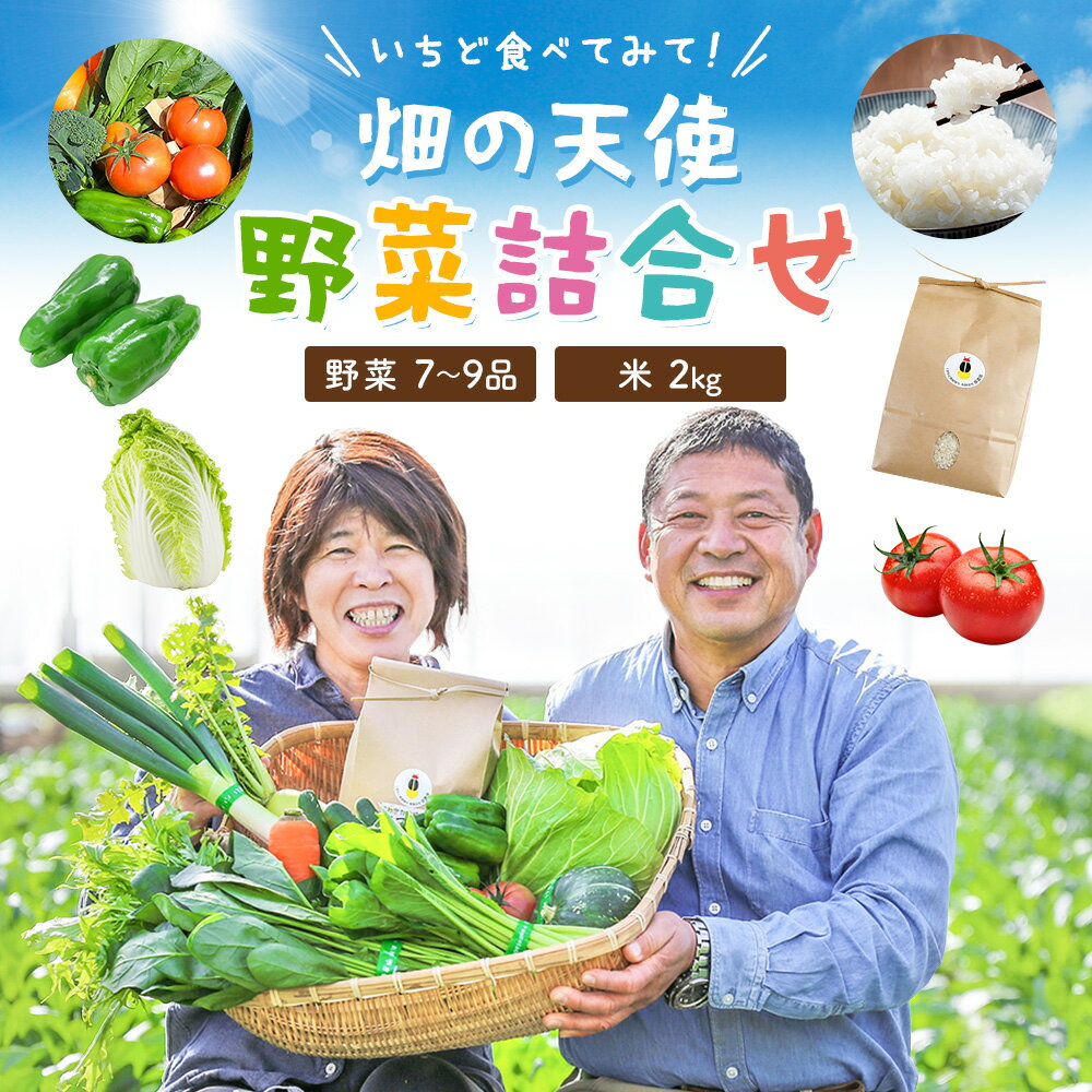 【ふるさと納税】野菜 詰合せ 7～9品 米 2kg 定期便 《選べる出荷時期》 畑の天使 いちど食べてみて「畑の天使」野菜 米 安全安心 おまかせ 詰め合わせ セット 旬の野菜 ボリューム 季節 生産者 フレッシュ サラダ 送料無料 熊本県 南関町