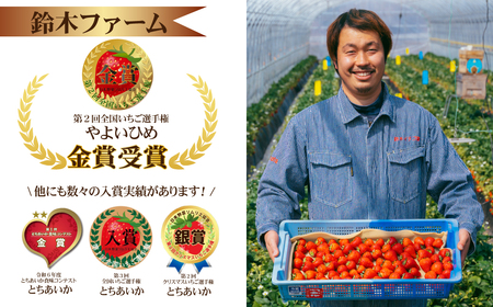 いちご ＜定期便3回＞完熟 とちあいか 約1080g  | イチゴ 完熟 栃木県 茂木町