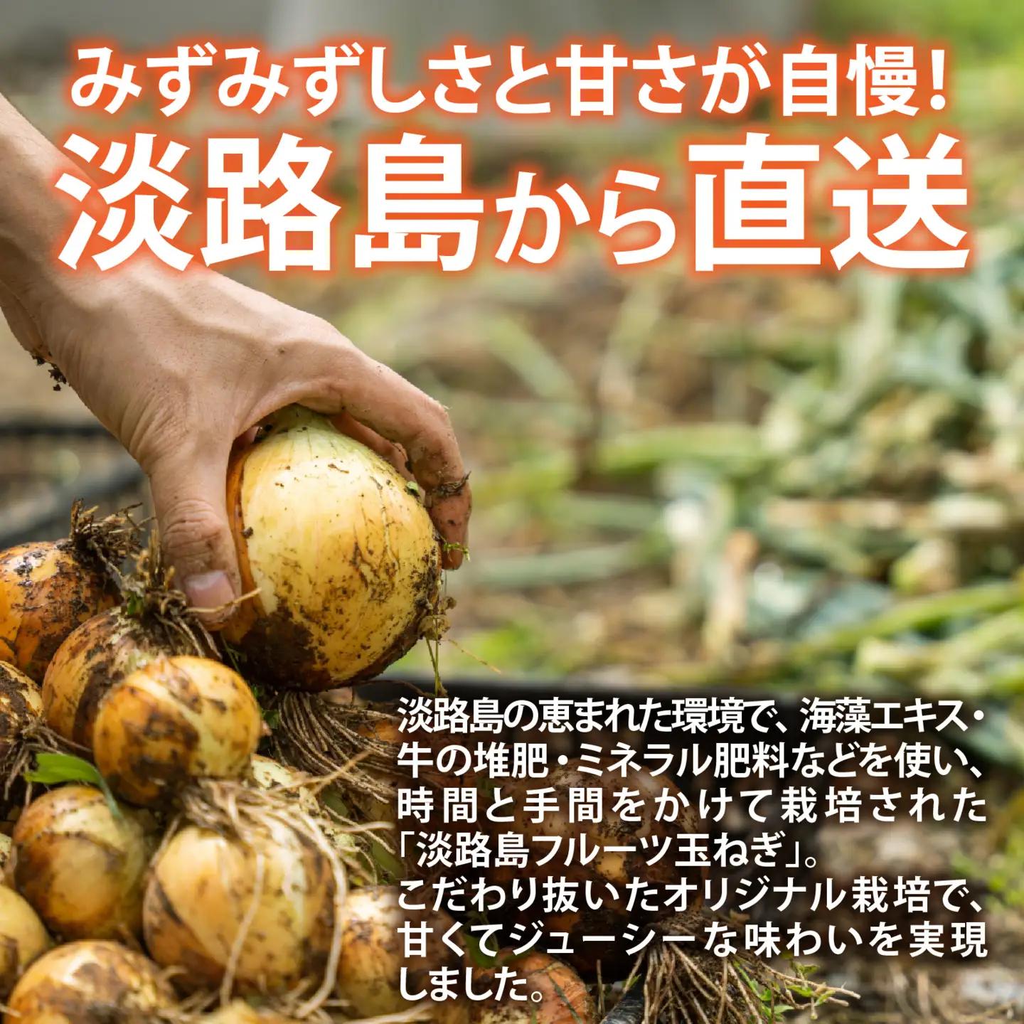 淡路島産 熟成フルーツ玉ねぎ 4kg【サイズ色々】 / 玉ねぎ