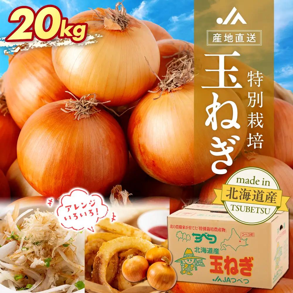【先行受付】R8年産 特別栽培玉ねぎ 20kg | 玉ねぎ たまねぎ タマネギ 玉葱 大容量 オニオン 甘い 減農薬 特別栽培 国産 カレー ハンバーグ 煮込み 炒め物 北海道 津別町 送料無料