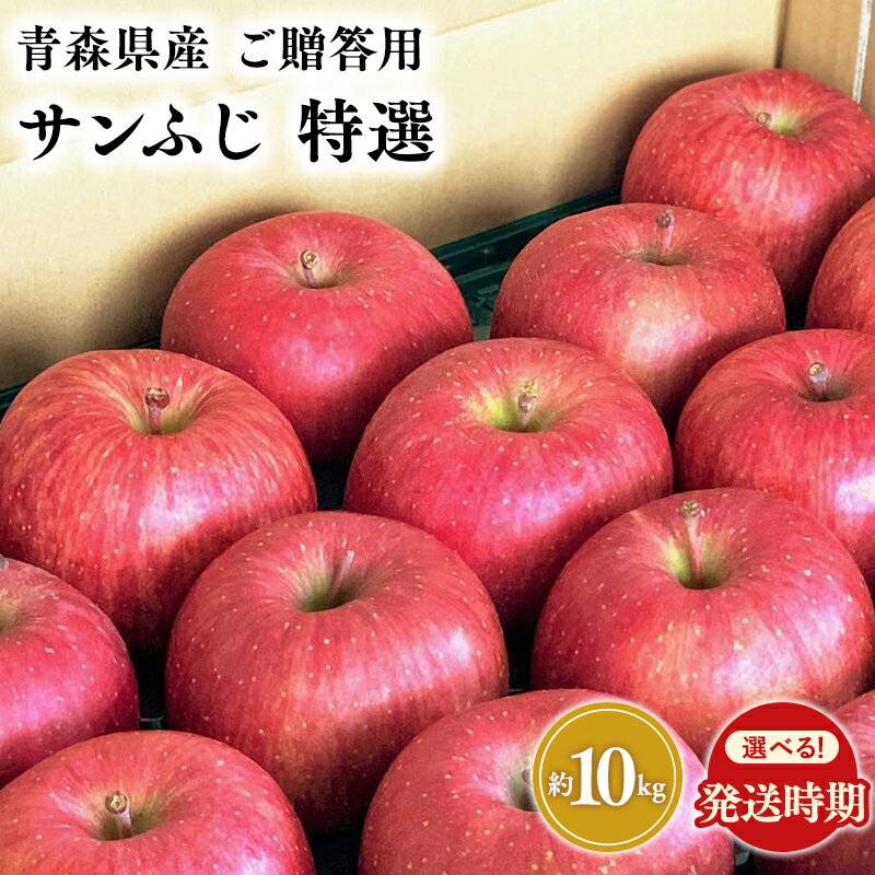 【ふるさと納税】≪発送時期が選べる≫ 青森県産 特選 サンふじ 約10kg 【 宮川商店 青森りんご 平川市産 】 11月〜4月発送 青森 青森県 平川 平川市 りんご リンゴ 林檎 フルーツ 果物 贈答 レビューキャンペーン