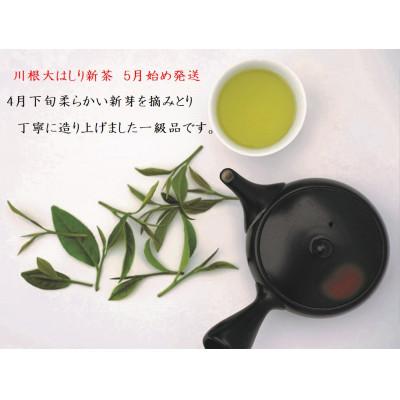 ふるさと納税 川根本町 坂本園の新茶 静岡川根茶大走り新茶100g×2本【5月上旬〜6月末発送】 |  | 02