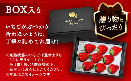 【先行予約】 ＼毎年12月より順次発送／ やよい姫 9粒 いちご フルーツ 果物 愛西市 / くぼ苺農園 【配達不可：北海道・沖縄・離島】[AECJ012]